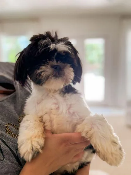 Millie