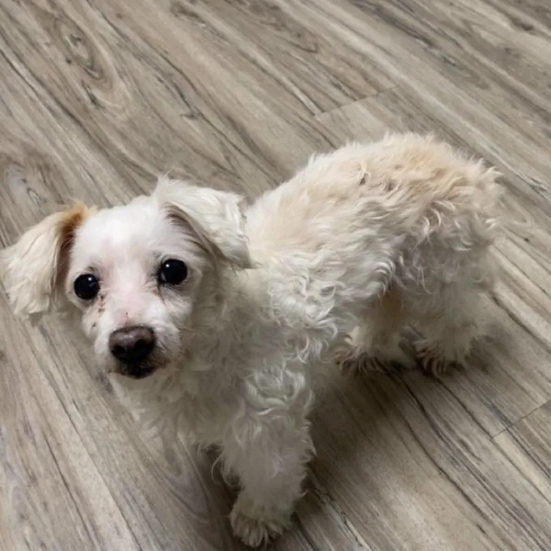 Owen James thumbnail 2