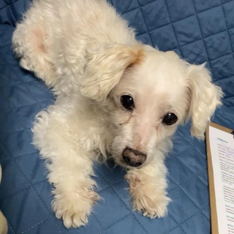 Owen James thumbnail 3