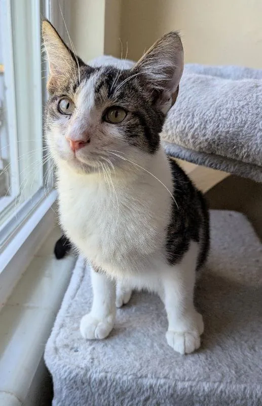 Vanderbilt thumbnail 2