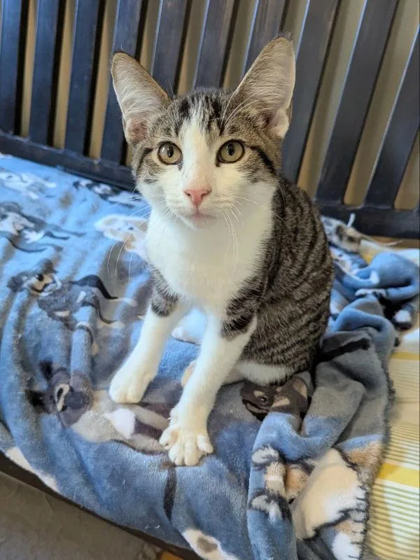 Vanderbilt thumbnail 3