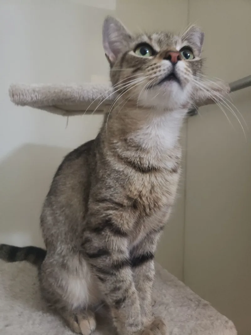 Ruby Lue thumbnail 3