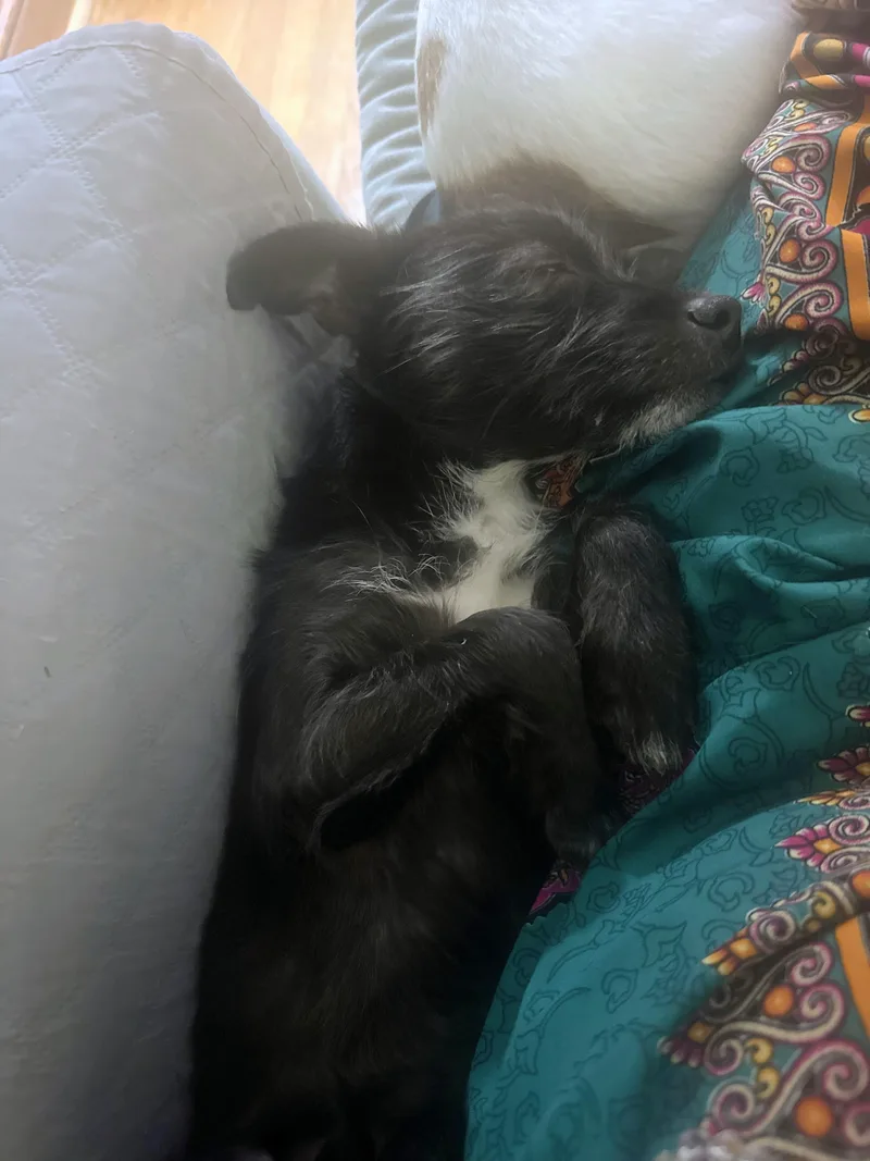 Luna