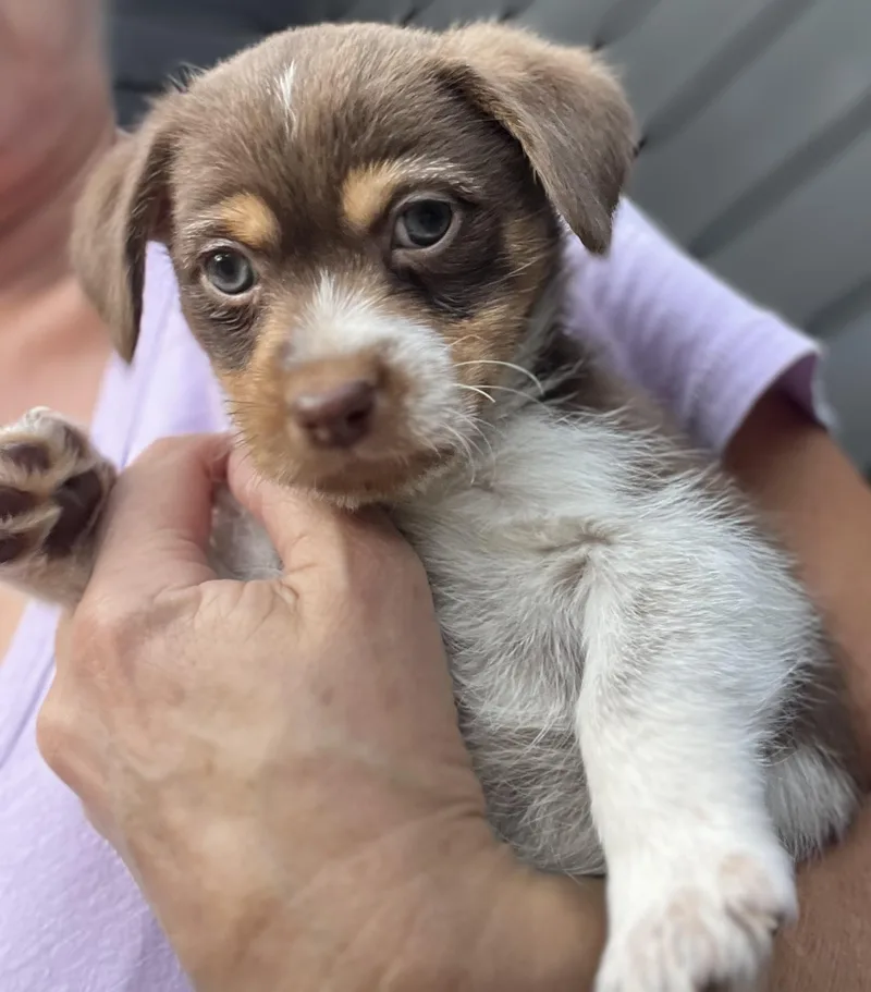 Tater