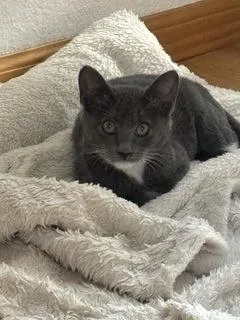 Charlene thumbnail 3