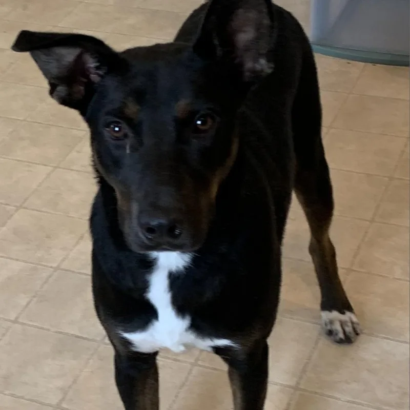 Aero thumbnail 4