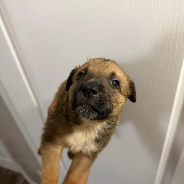 Charlie