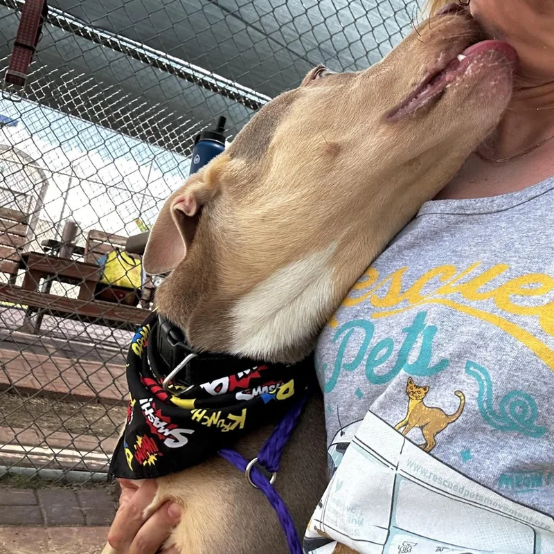 Hercules thumbnail 2