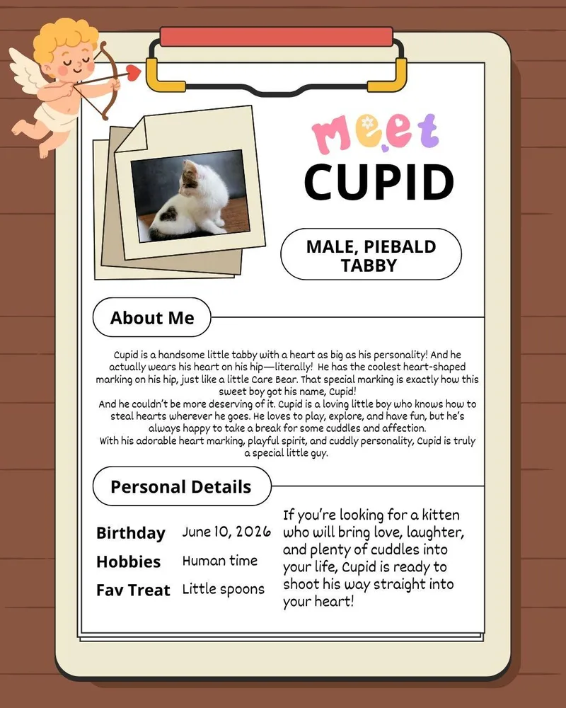 Cupid