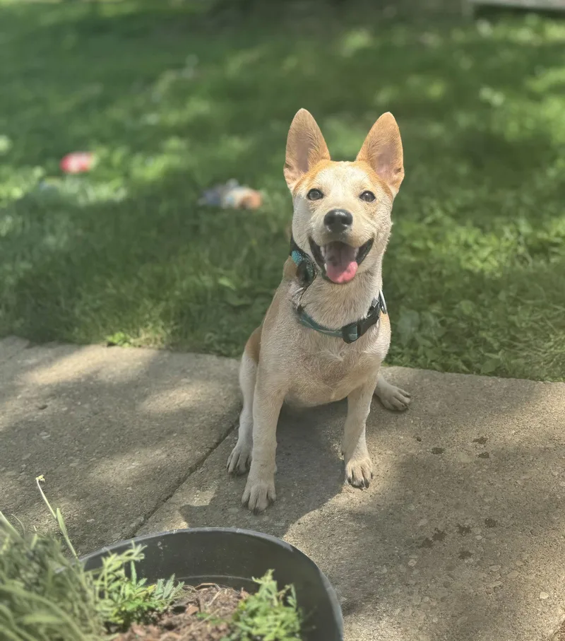 Charlie I'm Always Smiling