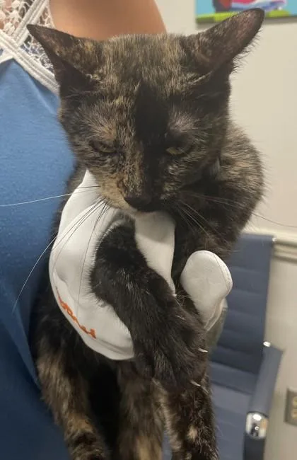 Luna