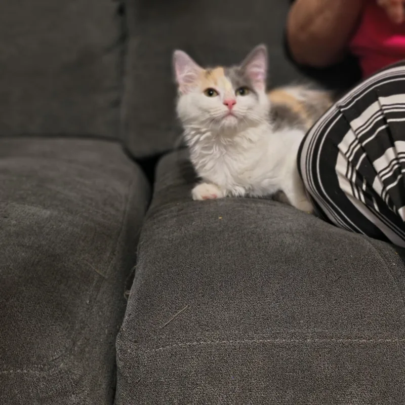 Sky and lola thumbnail 2