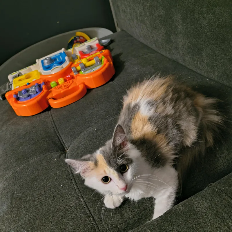 Sky and lola thumbnail 3
