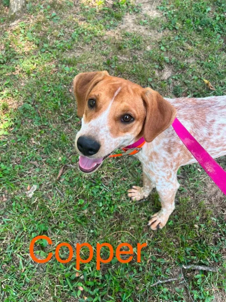 Copper