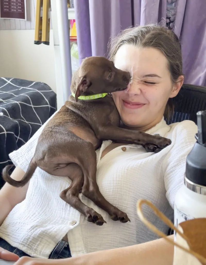 Caramel thumbnail 4