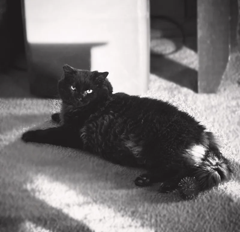 Salem