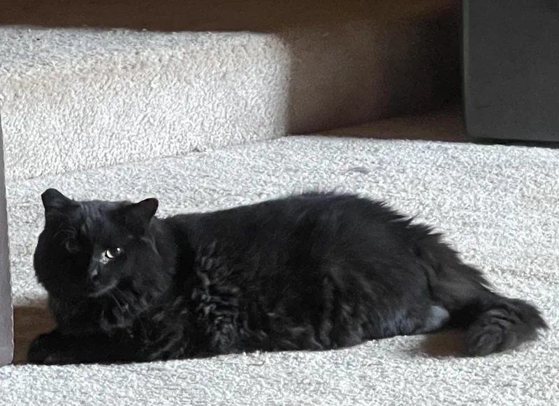 Salem thumbnail 2