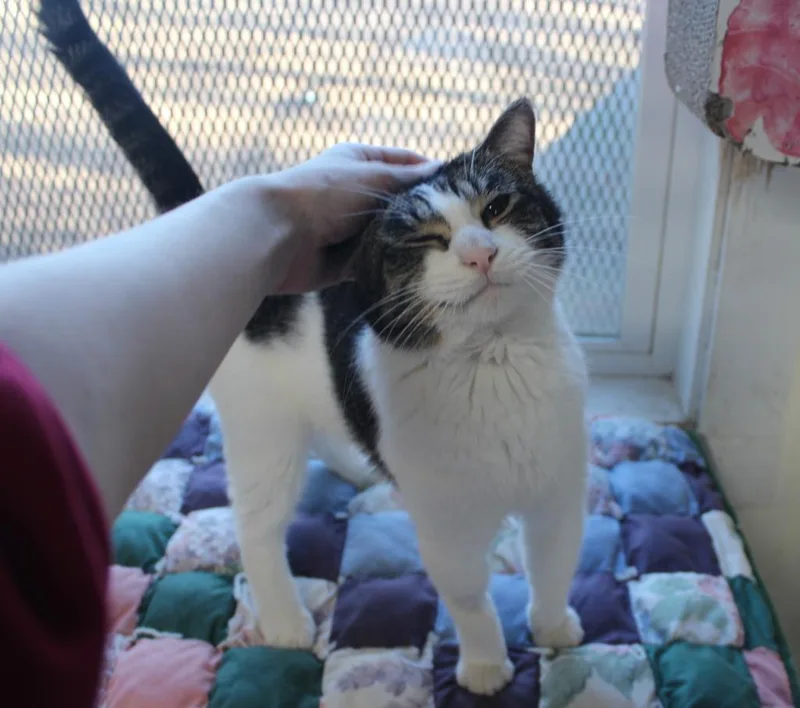 Terrance thumbnail 2