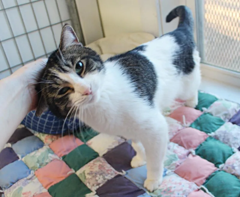 Terrance thumbnail 3