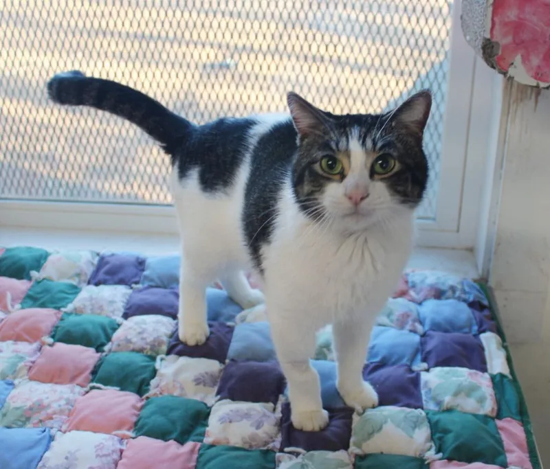 Terrance thumbnail 4