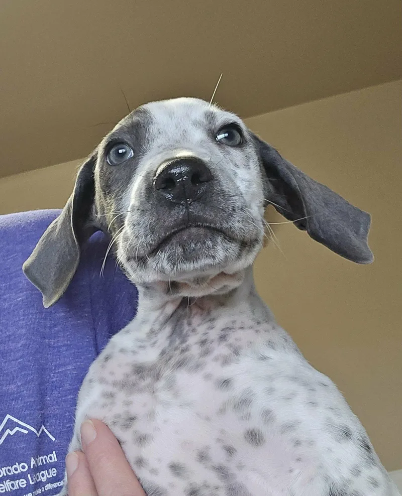 George