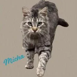 Micha trusting&loving thumbnail 2