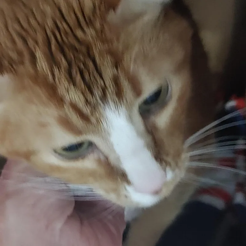 Andy thumbnail 2