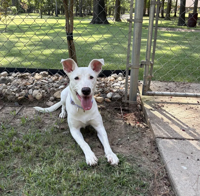Nellie Lonestar thumbnail 2