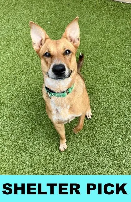 Scramble thumbnail 2