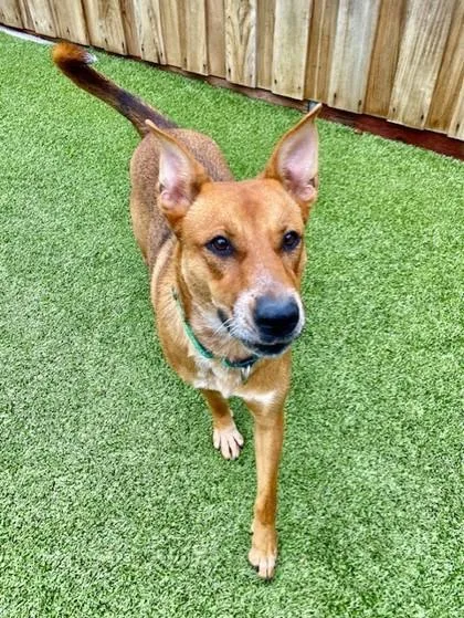 Scramble thumbnail 3