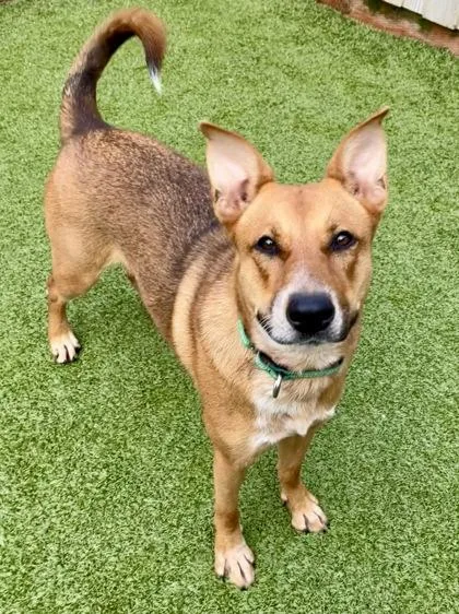 Scramble thumbnail 4