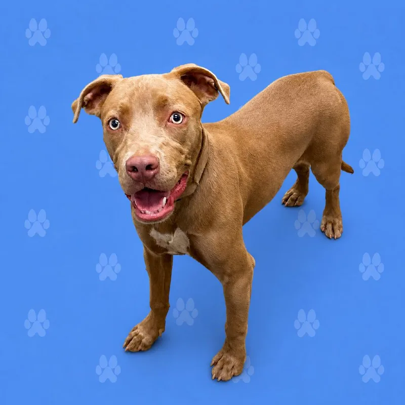 Delilah thumbnail 4