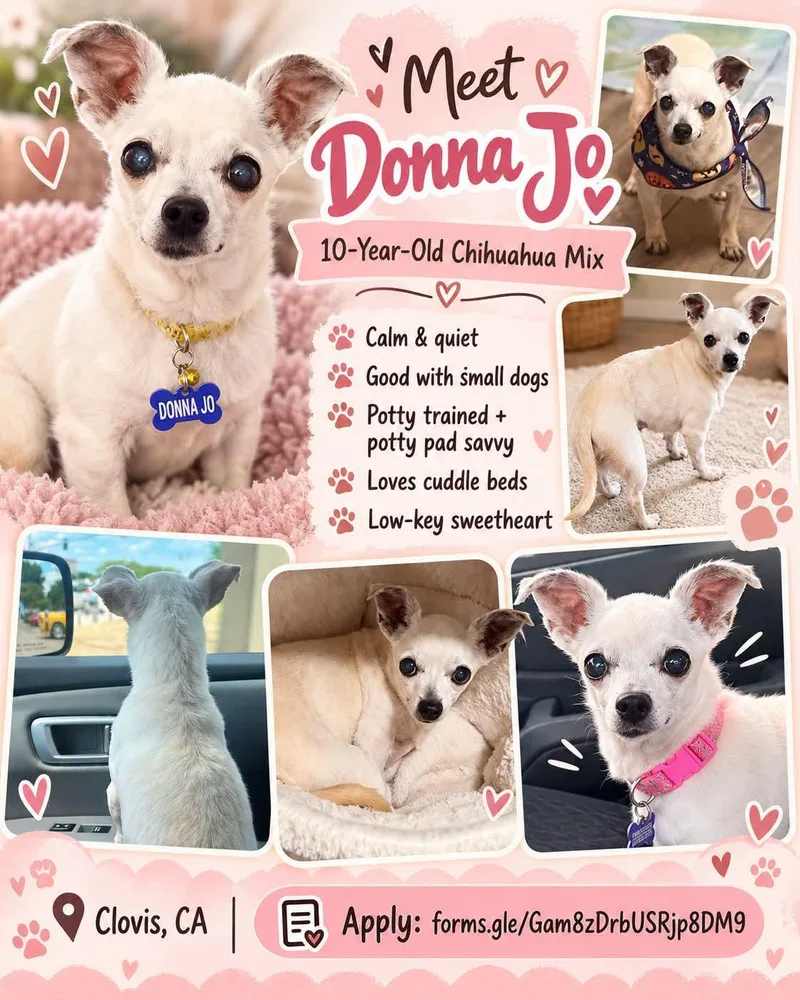 Donna Jo thumbnail 5