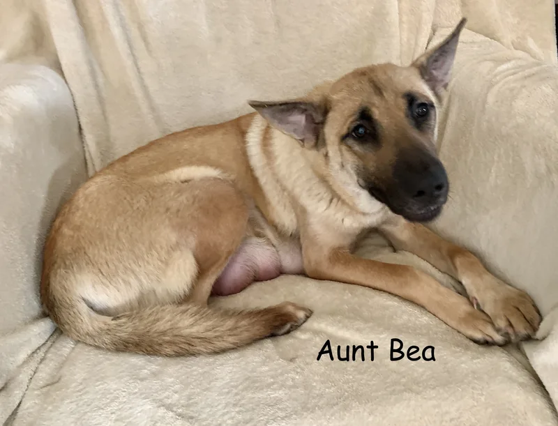 Aunt Bea thumbnail 3