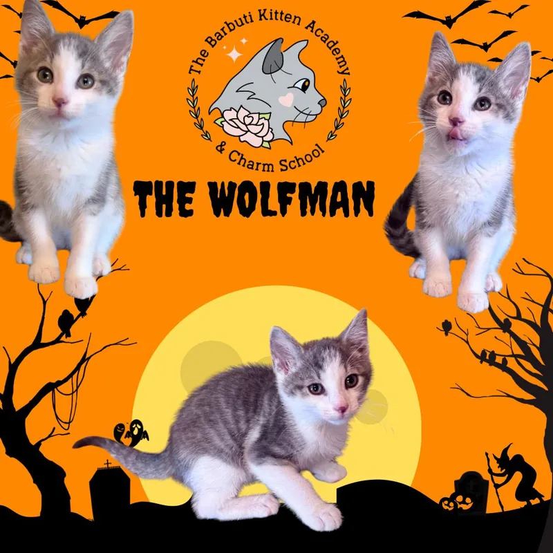 The Wolfman thumbnail 2