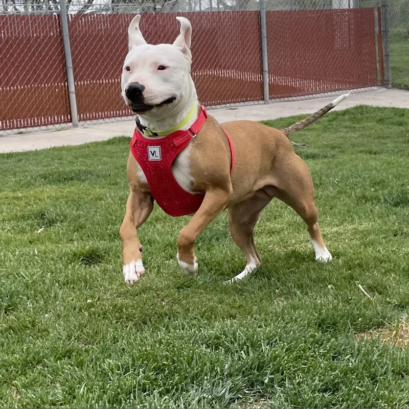Baby Girl thumbnail 2
