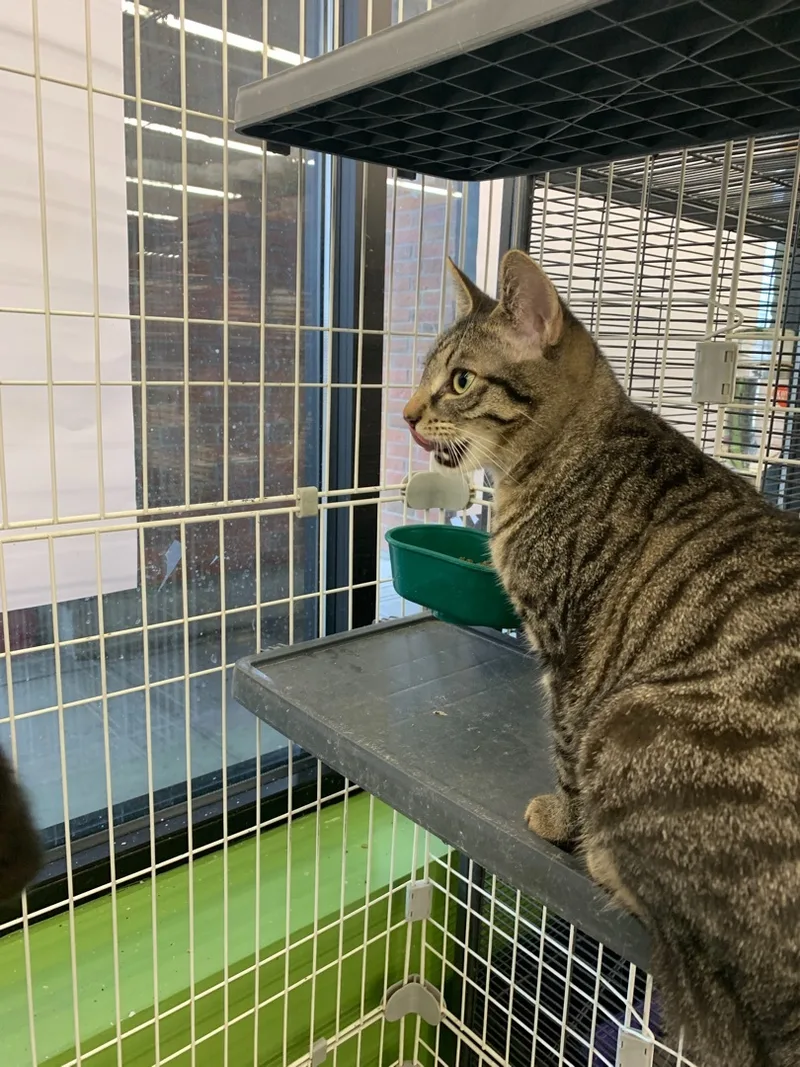 Valentina thumbnail 2