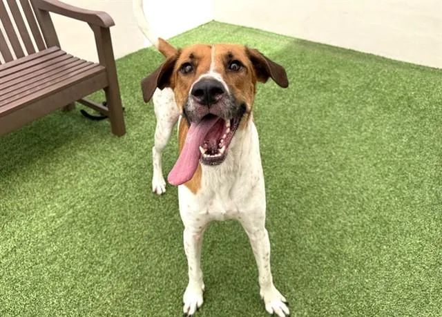 Max