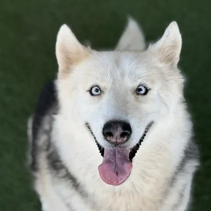 Luna May thumbnail 2