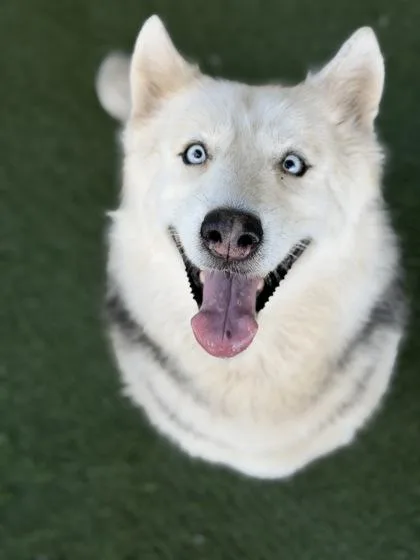 Luna May thumbnail 3