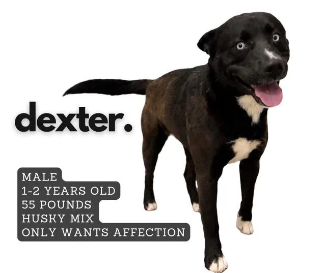 Dexter