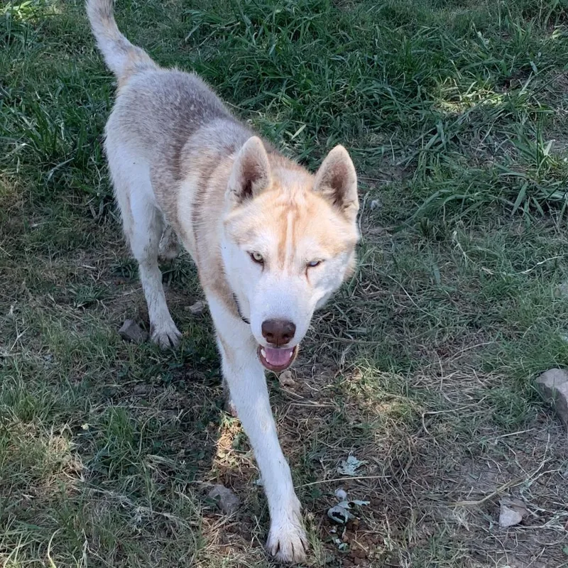 Lafayette thumbnail 4