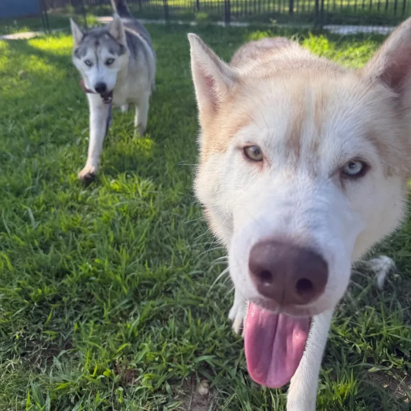 Lafayette thumbnail 5