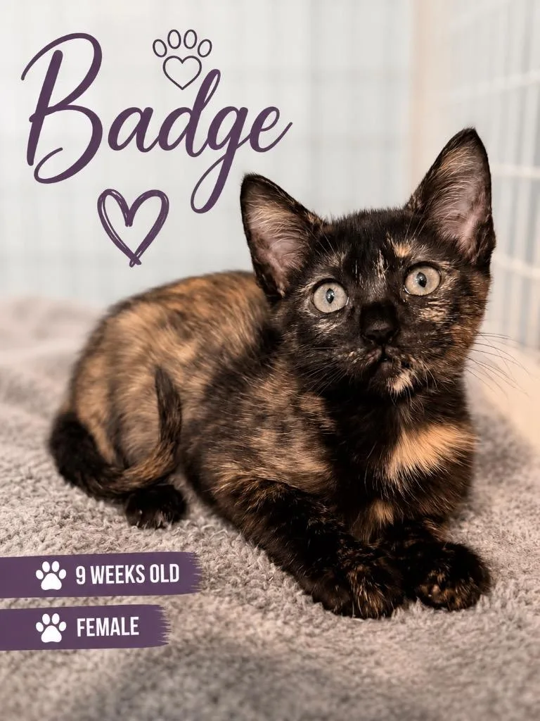 Badge