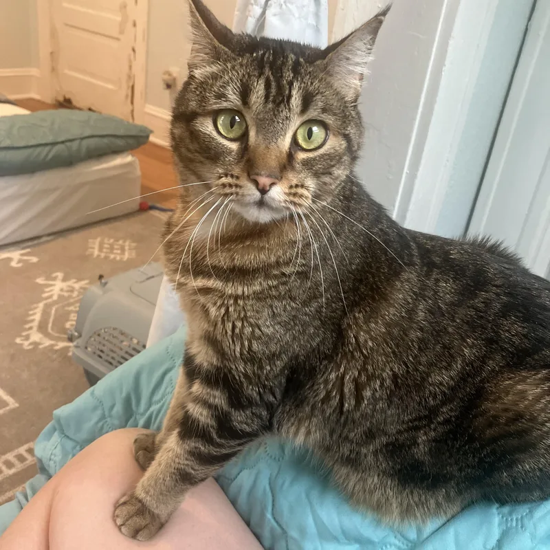 Iris One Smart Cookie!