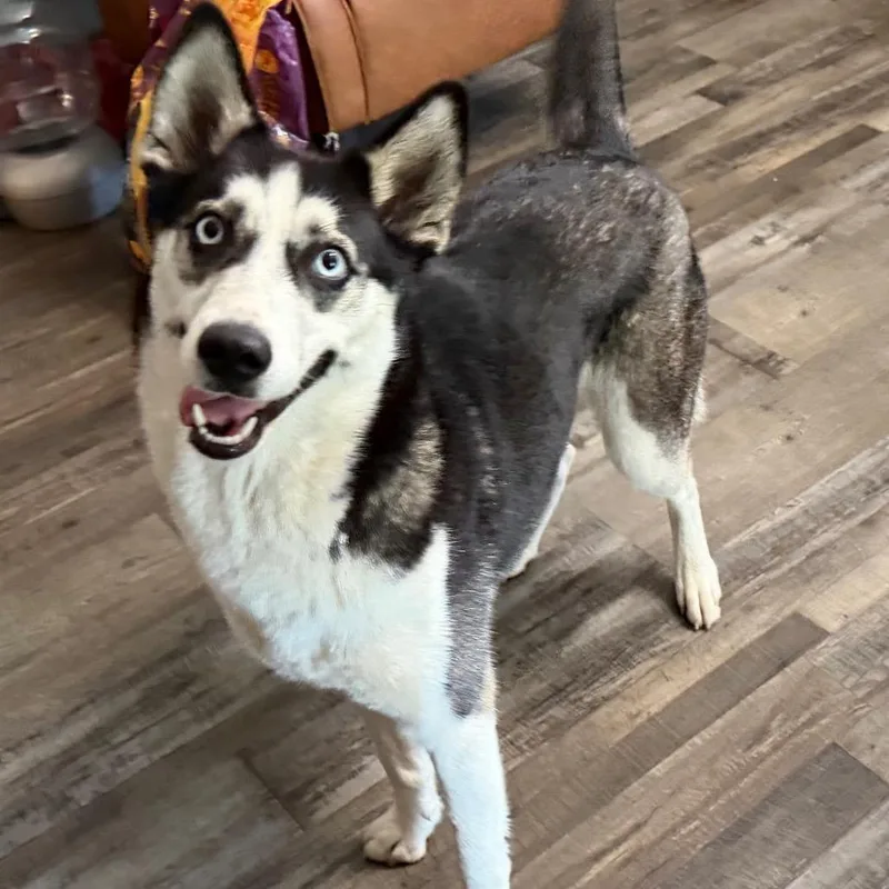 Maggie thumbnail 5