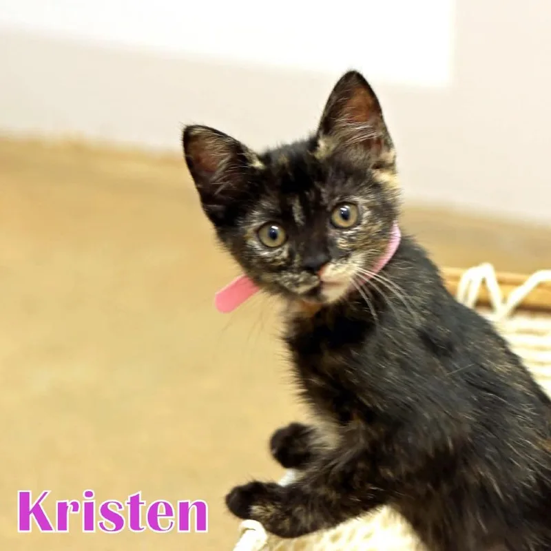 Kristen thumbnail 3