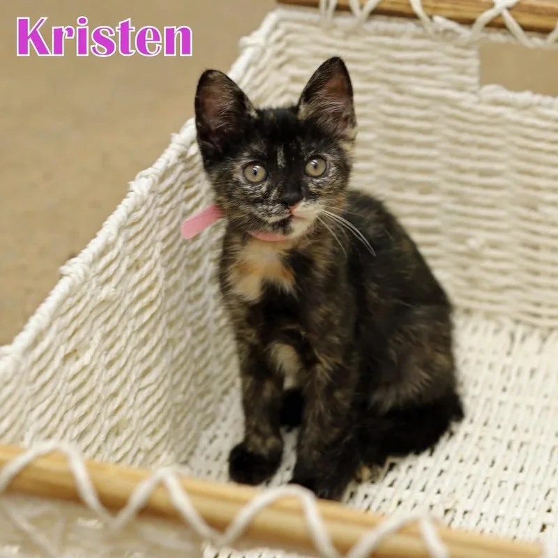 Kristen thumbnail 4