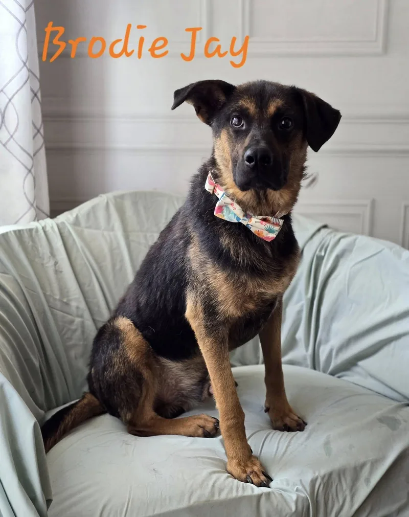 Brodie Jay thumbnail 2