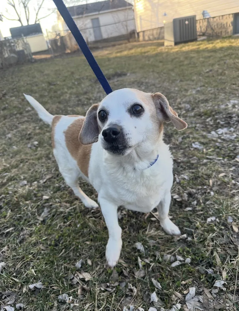 Jackson! Sweet Old Boy thumbnail 2